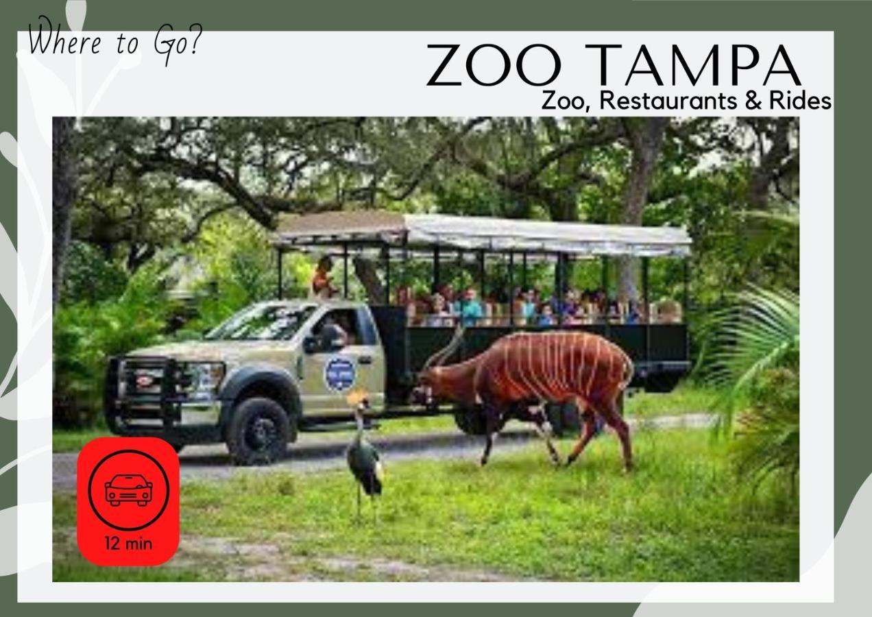 Cozy Home In Tampa Near Ybor & Busch Gardens מראה חיצוני תמונה